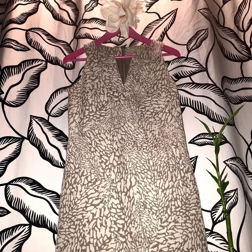 Banana Republic Dress (Sleeveless)